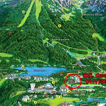 Strbske Pleso Rezidencia Oliver - Apartman 16A Dış mekan fotoğraf