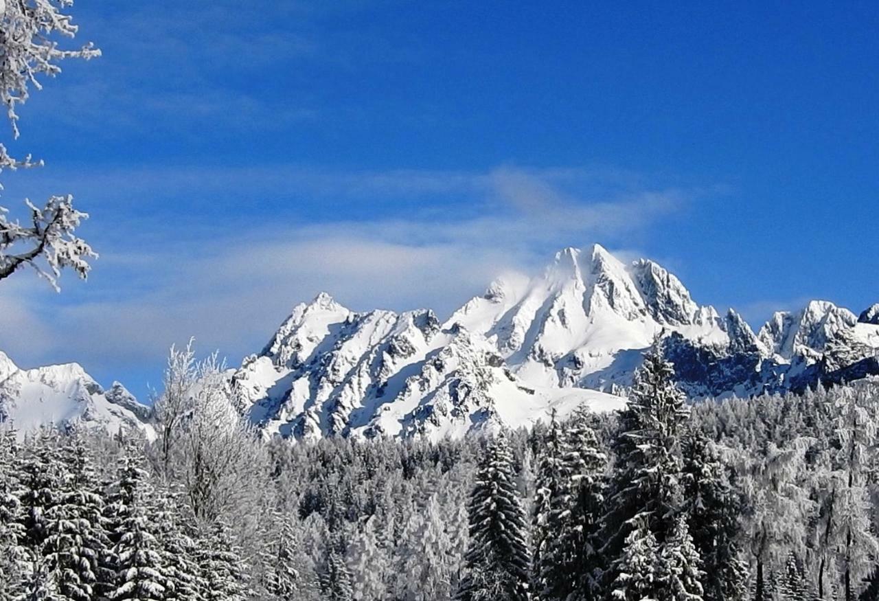 Strbske Pleso Rezidencia Oliver - Apartman 16A Dış mekan fotoğraf